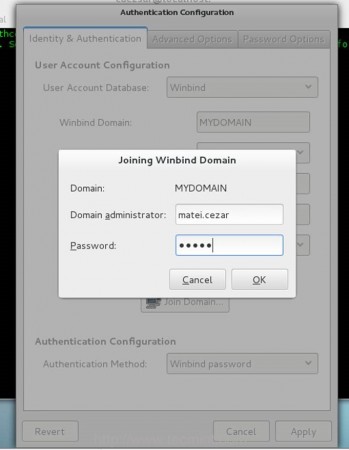 Enter Domain Administration Login