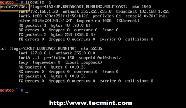 Check Network Interface Names