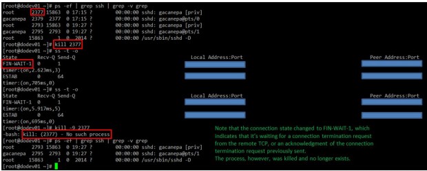 Linux Kill Active Process