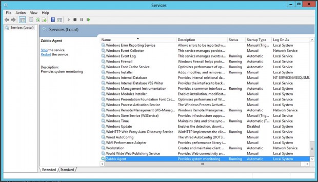 Zabbix Agent Windows Service