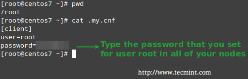 Ansible Database Password