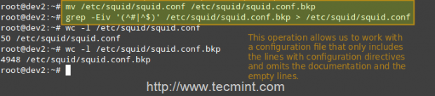 Backup Squid Configuration File