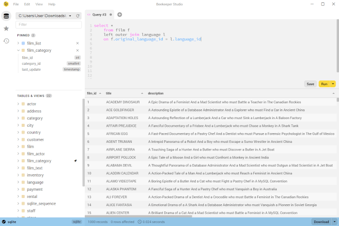 Beekeeper Studio - SQL Editor