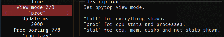 Bpytop View Mode