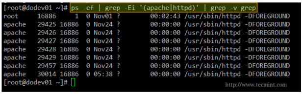 Check Apache Processes