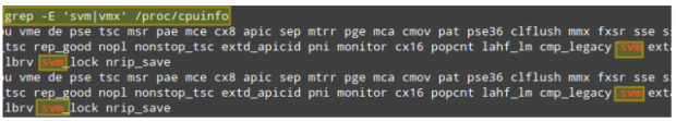 Check KVM Support