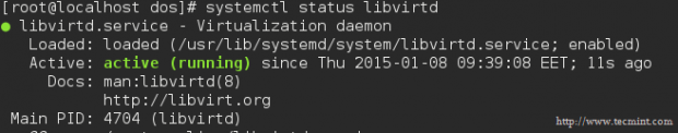 Check Libvirtd Status