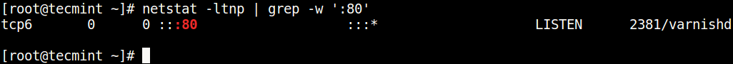 Check Port Using netstat Command