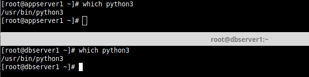 Check Python3 Binary