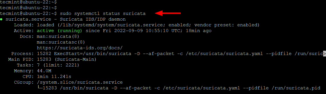 Check Suricata in Ubuntu