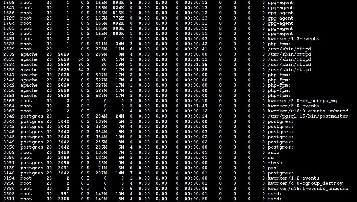 Collectl - Check Linux Process Info