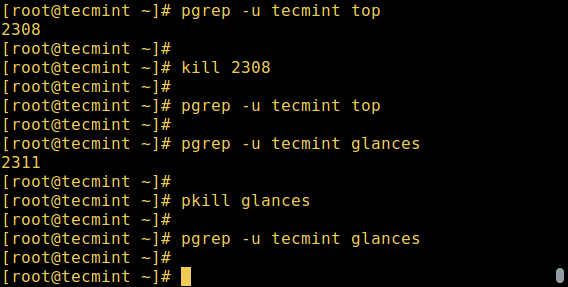 Control Linux Processes