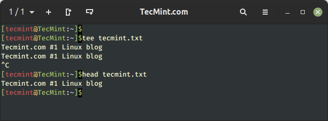 Create a File Using Tee Command