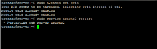 Enable Apache CGI