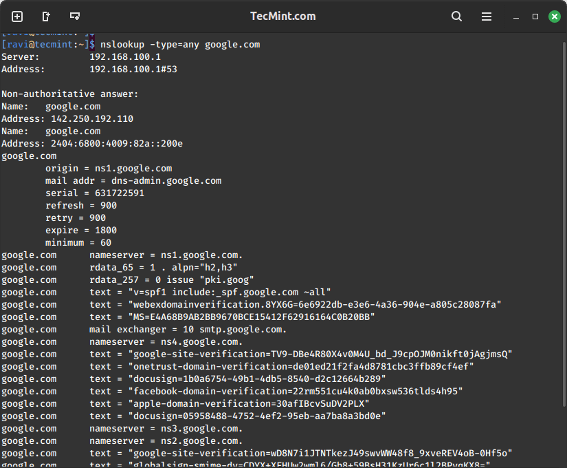 Find Domain DNS Records