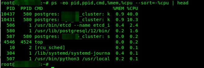 Find Top Running Processes by CPU Usage