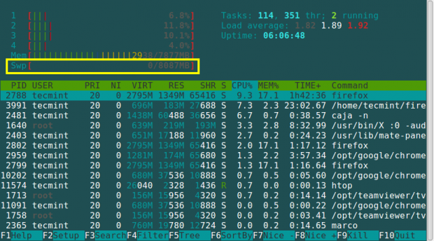 Htop Check Swap Usage