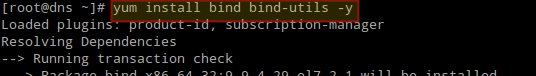 Install DNS Bind in RHEL/CentOS 7