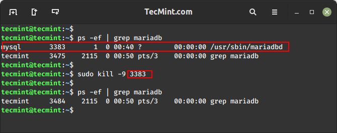 Kill Linux Process with PID