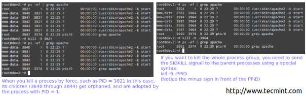 Forcefully Kill Linux Process