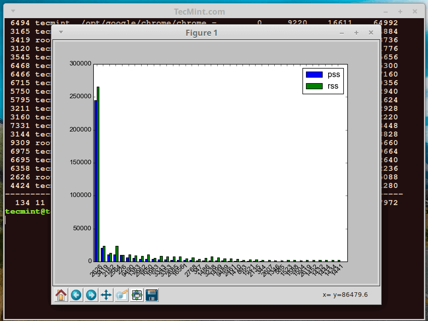 Linux Memory Usage in PSS and RSS Values