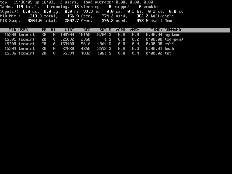 List Linux Processes By Specific User