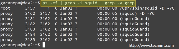 Monitoring Processes in Linux