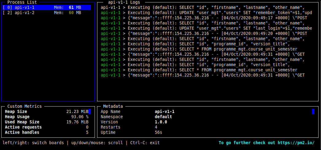 Monitor Nodejs Using PM2 on Terminal