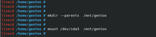 Mount Root Partition