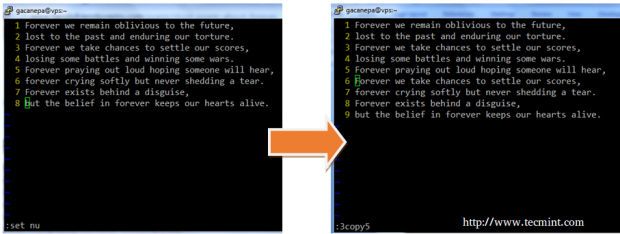 Move Copy Existing Lines in Vim