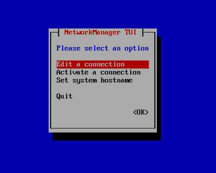 Nmtui Network Manager