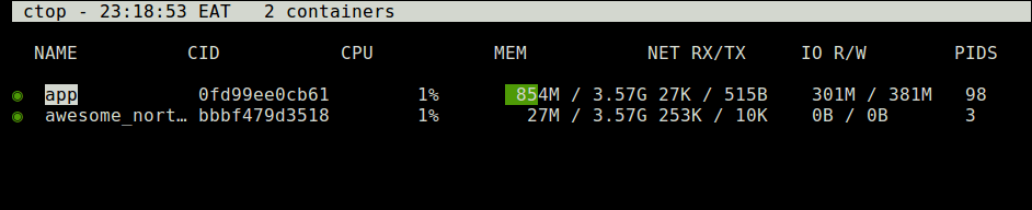 Check Active Docker Container