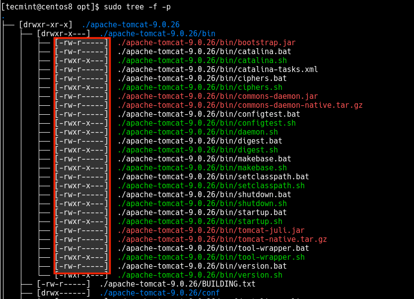 Print File Type and Permissions