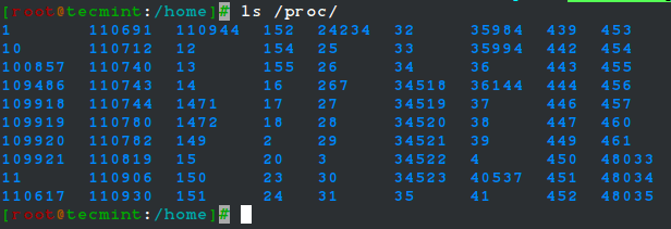 /proc Directory in Linux