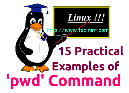 Linux pwd Command Examples