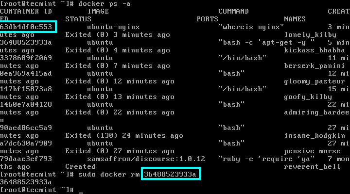 Remove Docker Container