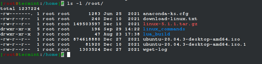 Root User Directory in Linux