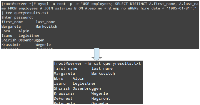 Run MySQL/MariaDB Queries from Commandline