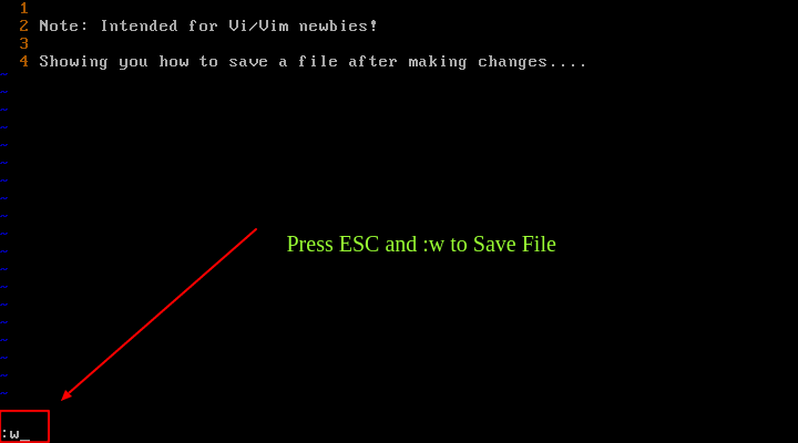 Save File in Vim