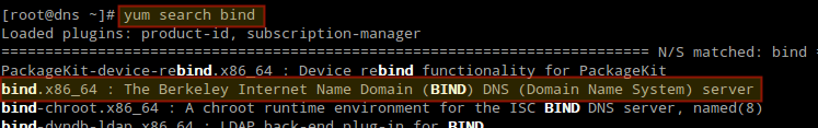 Search DNS Bind Package