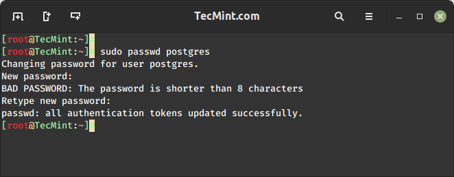 Set PostgreSQL User Password