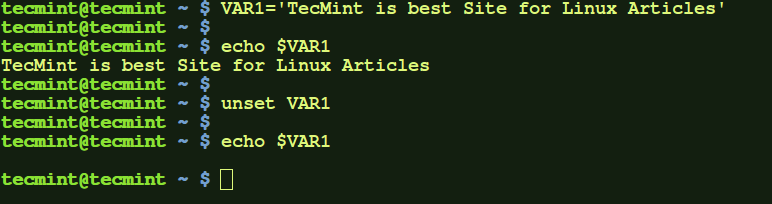 Set Unset Local Environment Variables