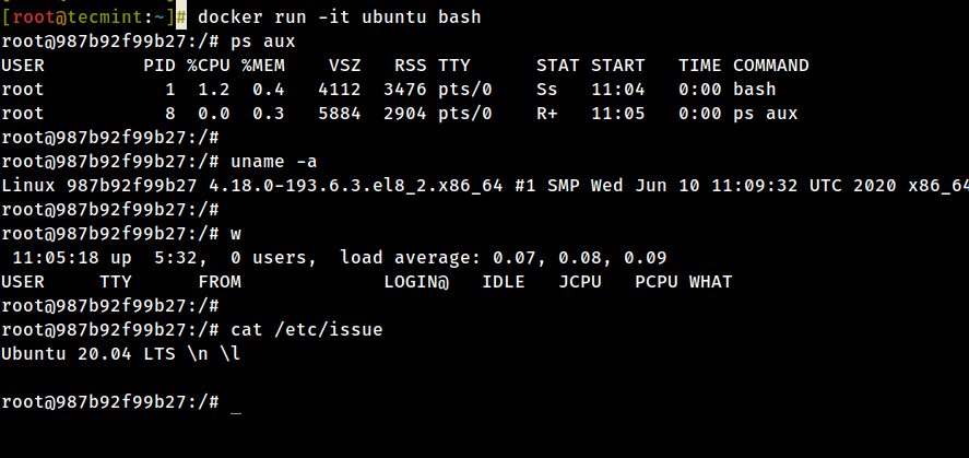 Start Docker Container Interactive Shell