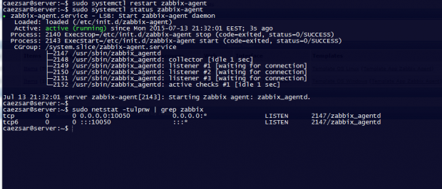 Start Zabbix Agent