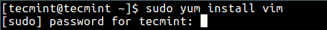 No Sudo Password Shown