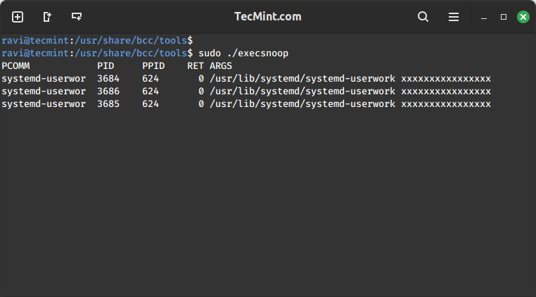 Tracing New Processes in Linux