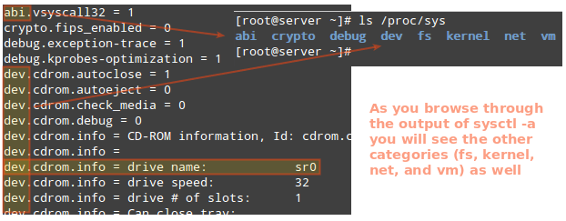 Understand Linux /proc Filesystem