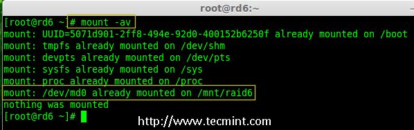 Verify Raid Automount