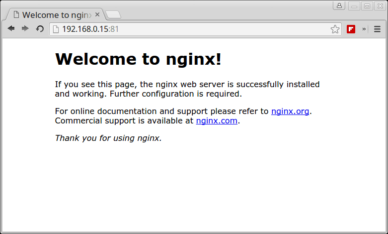 Verify Nginx Running under Docker Container