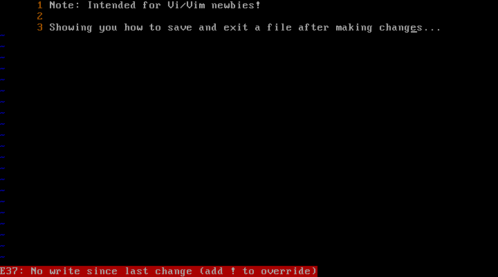 Vi Error Quitting File